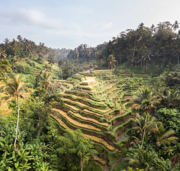 20240101-DJI 0192-Pano