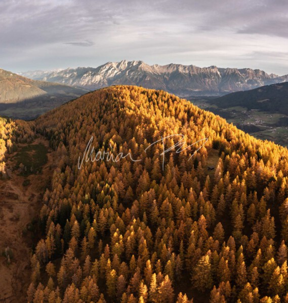 20241019-DJI 0413-Pano