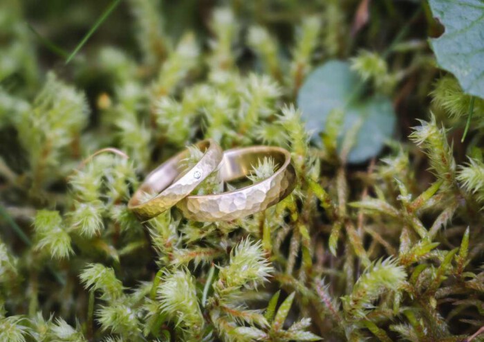 DSC07640-Bearbeitet-Bearbeitet